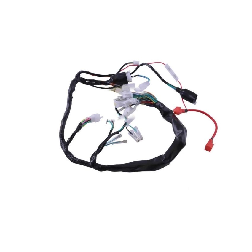 CG Elektrik Tesisatı Beyin 4 Fiş Akü Beslemeli